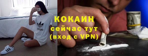 спайс Богородск