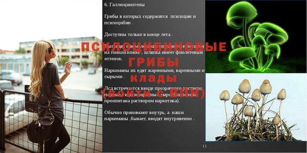 наркотики Богородицк